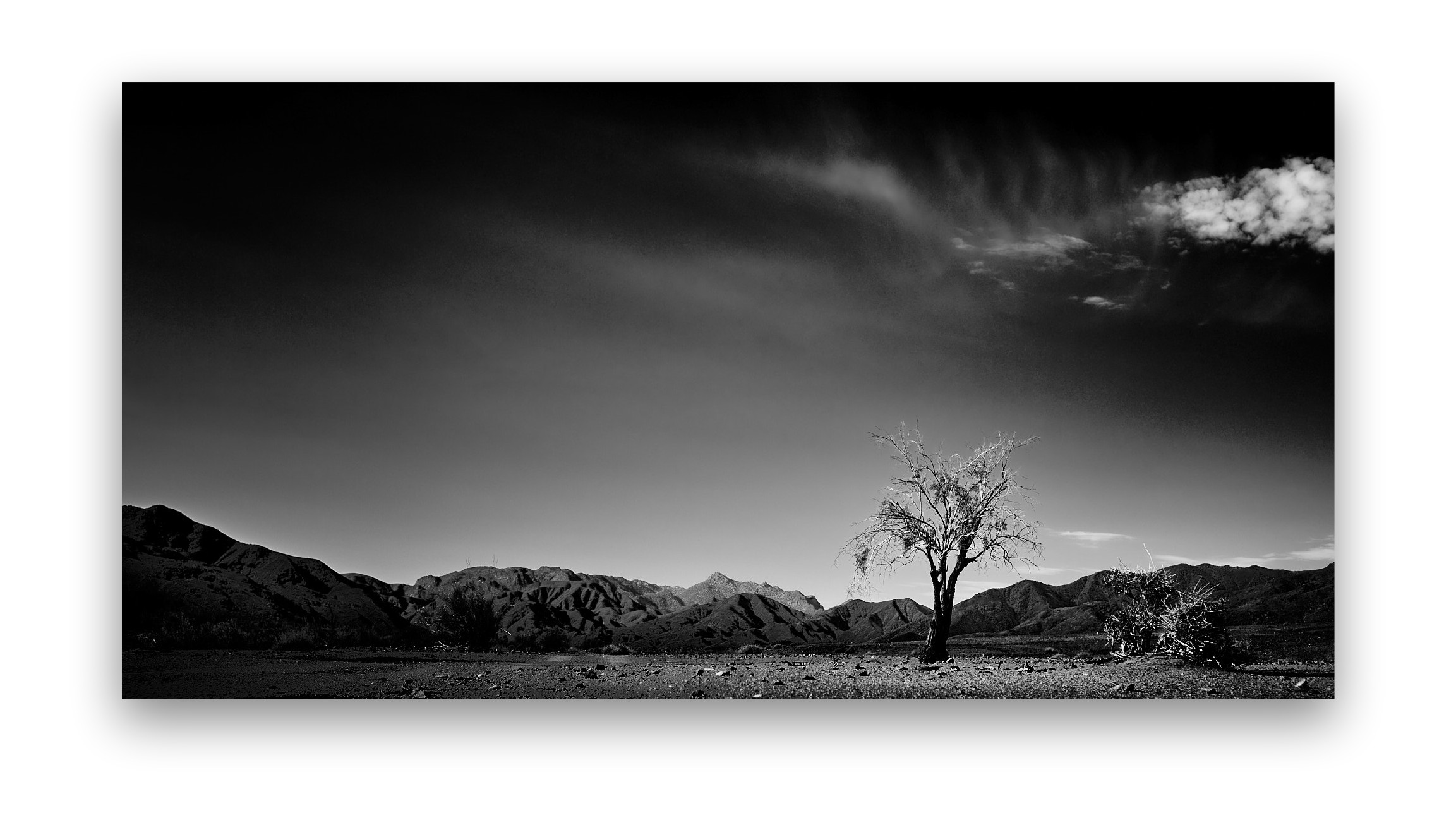 Perspective of Uncertainty