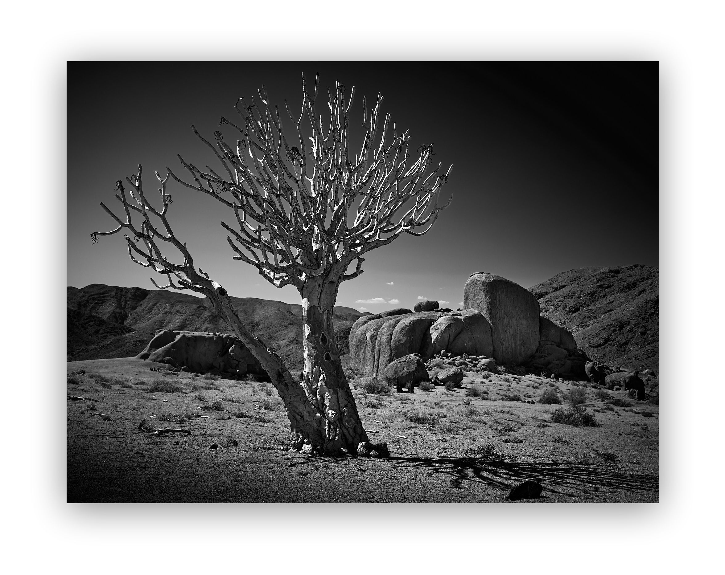 Consequence of Desire