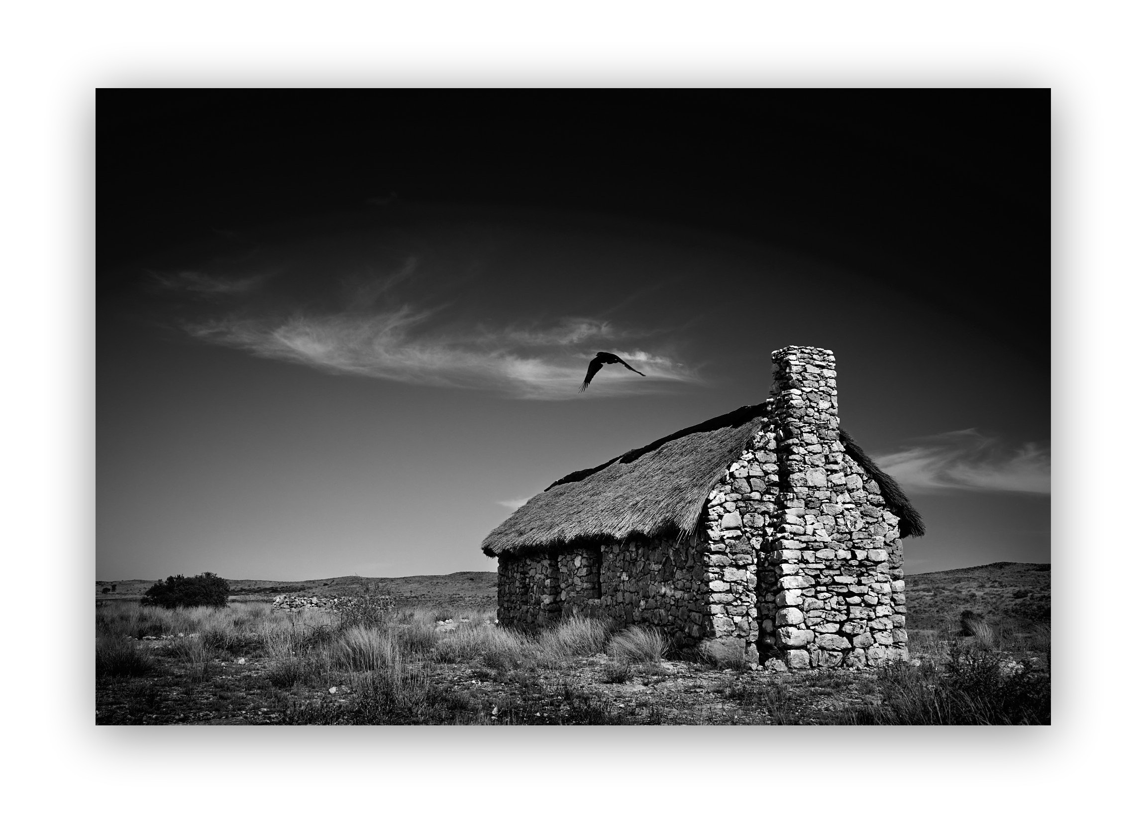 African Kalahari artwork collection