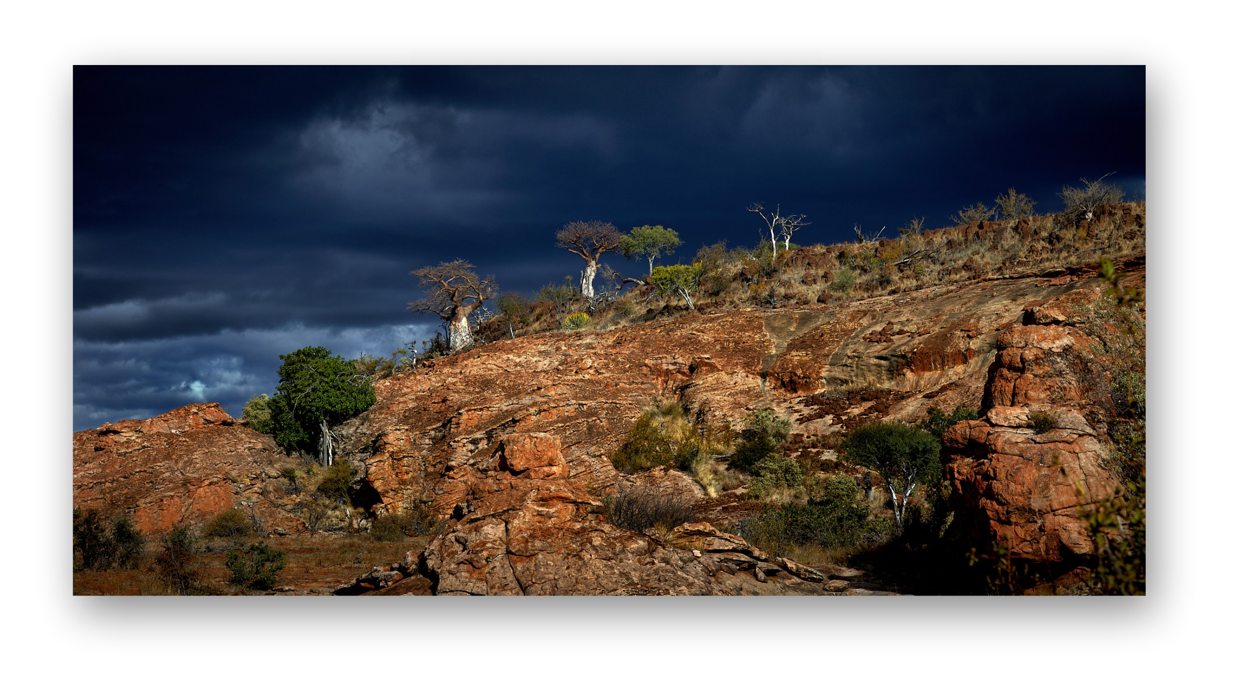 Dramatic dark blue sky after a thunderstorm creates a high contrast image with the brightly lit mountain lined with  baobab trees in full sun
