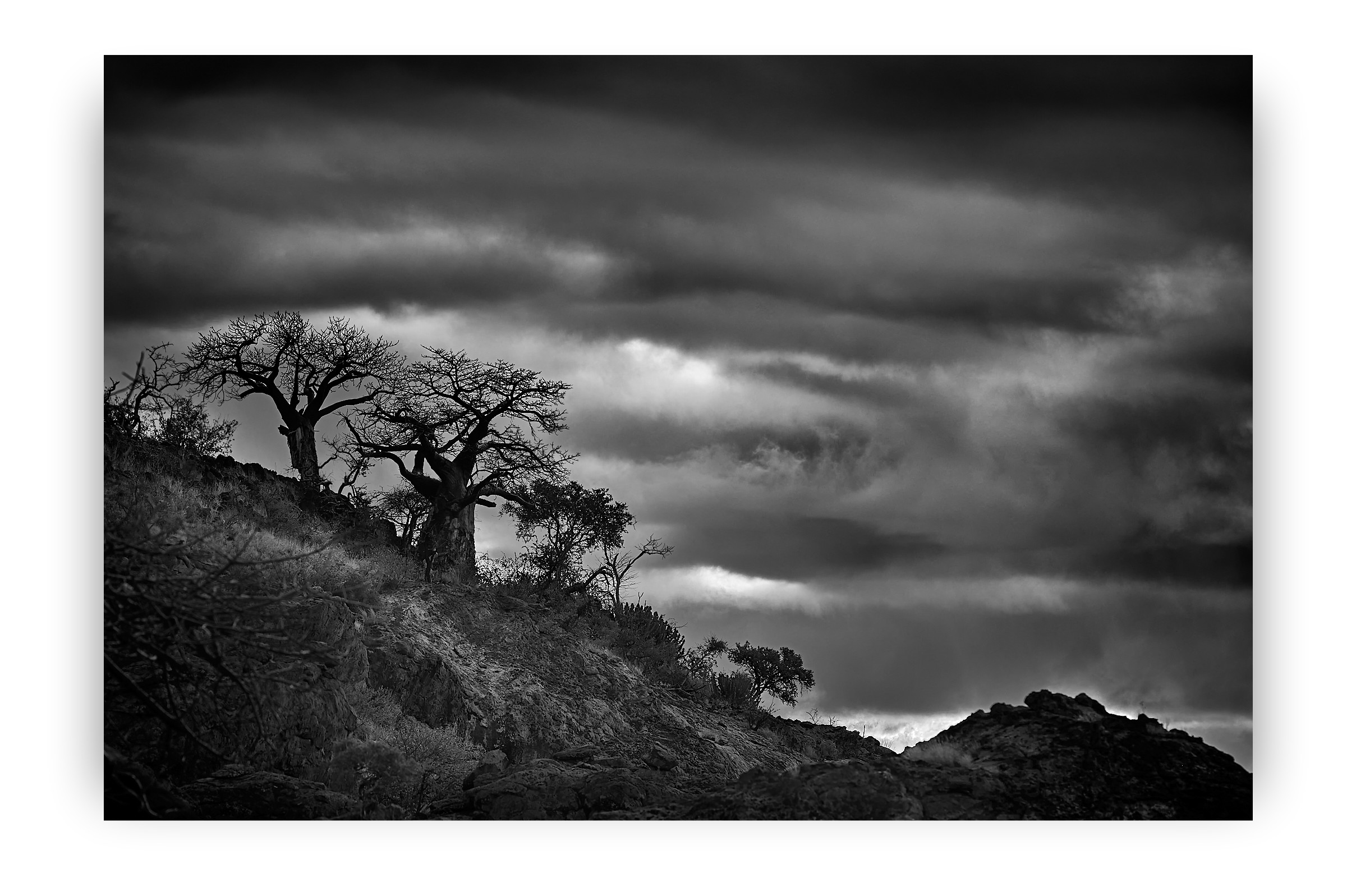 Battle of the Giants