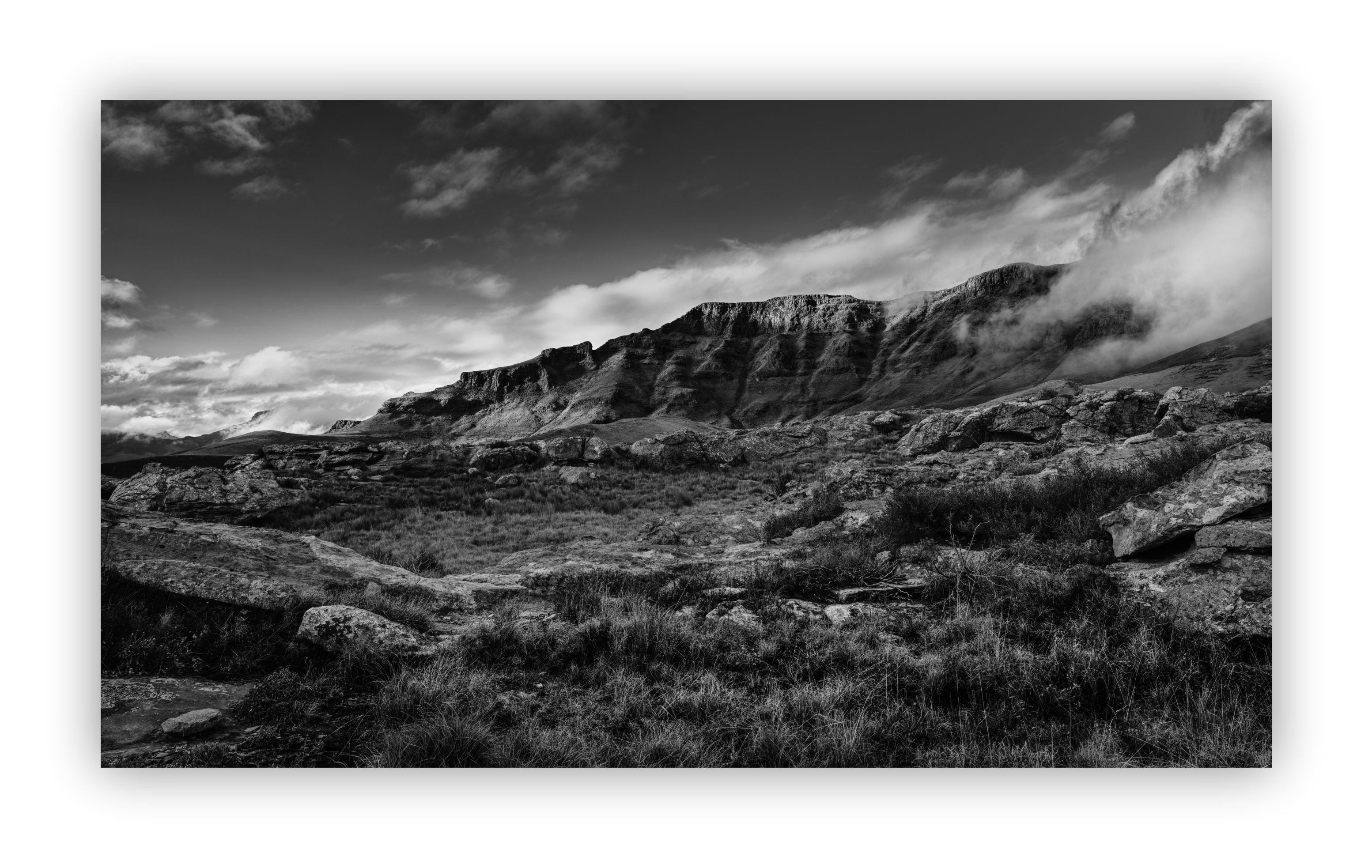 Uncovered Perspective